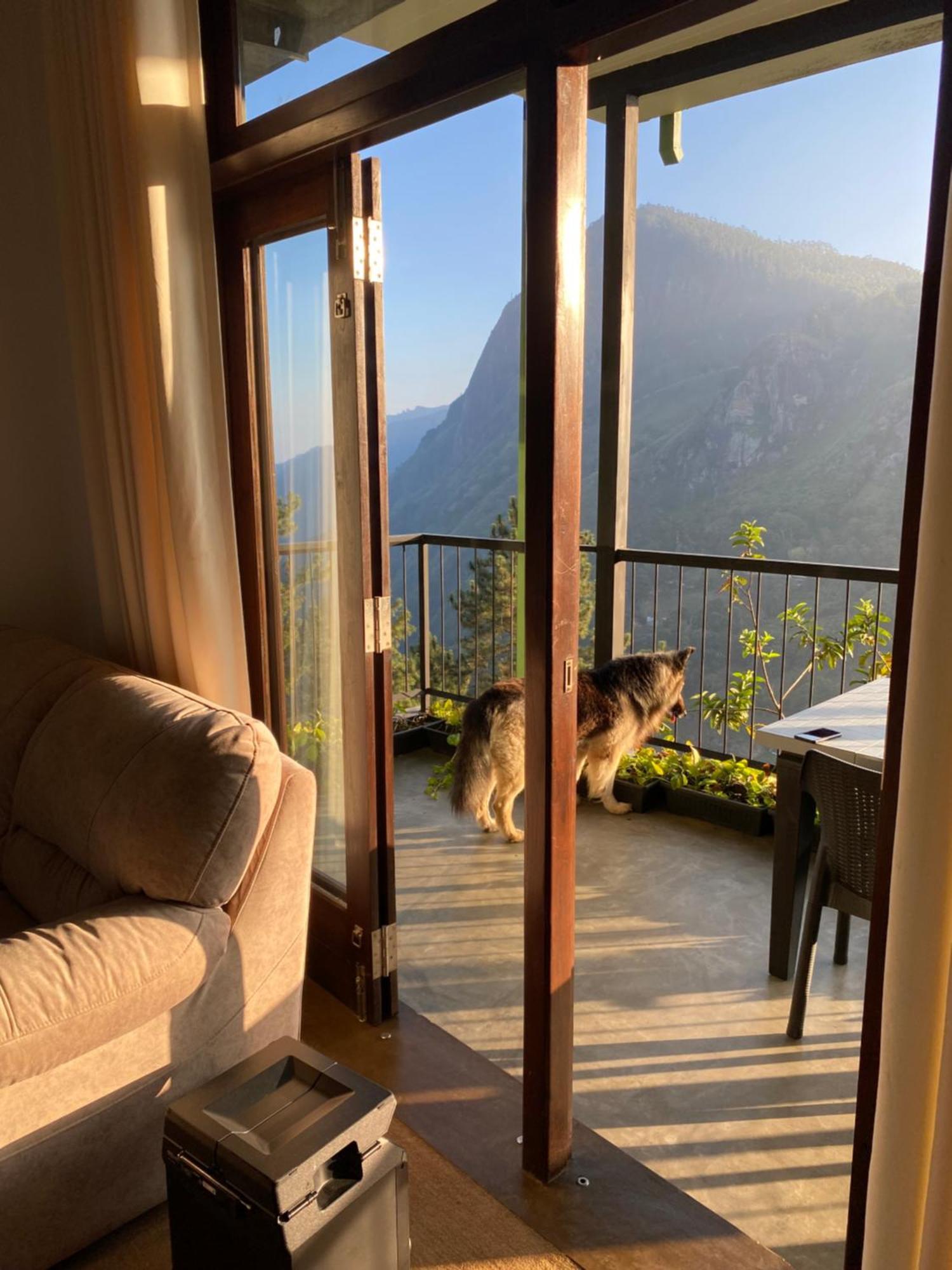 Star Gaze Lodge Ella Eksteriør bilde